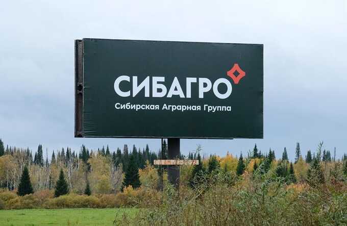 Омерзительная ёлочка компании «Сибагро»